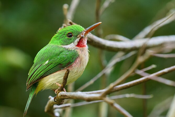 Los Haitises National Park Tour From Punta Cana Montana Redonda and Cano Hondo - Booking and Confirmation