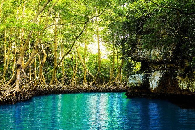 Los Haitises National Park Tour From Punta Cana, Redonda Mountain & Caño Hondo - Pickup Information