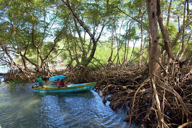 Los Haitises National Park Tour From Punta Cana, Redonda Mountain & Caño Hondo - Booking Your Stay