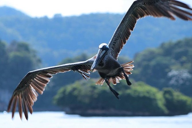Los Haitises National Park With Lunch at Caño Hondo From Samaná Port. - Tour Overview