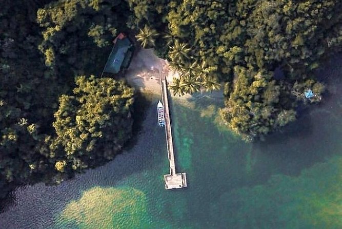 Los Haitises National Park With Lunch at Caño Hondo From Samaná Port. - Tour Highlights