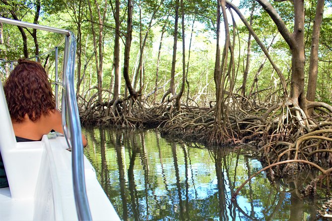Los Haitises National Park With Lunch at Caño Hondo From Samaná Port. - Participant Experiences