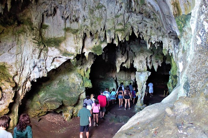 Los Haitises National Park With Lunch at Caño Hondo From Samaná Port. - Booking Your Stay