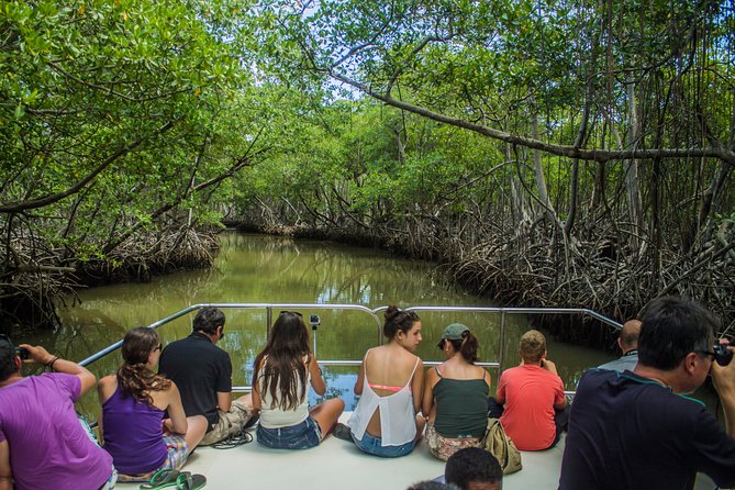 Los Haitises National Park With Montana Redonda, River, and Lunch From Punta Cana - Exploring Caves and Viewpoints