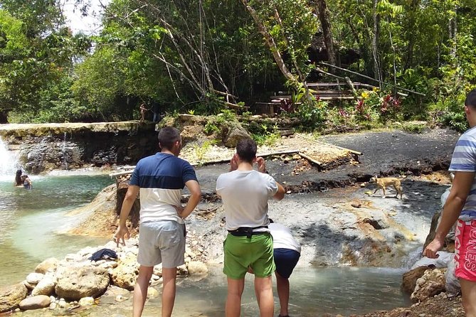 Los Haitises National Park With Montana Redonda, River, and Lunch From Punta Cana - Transportation and Logistics