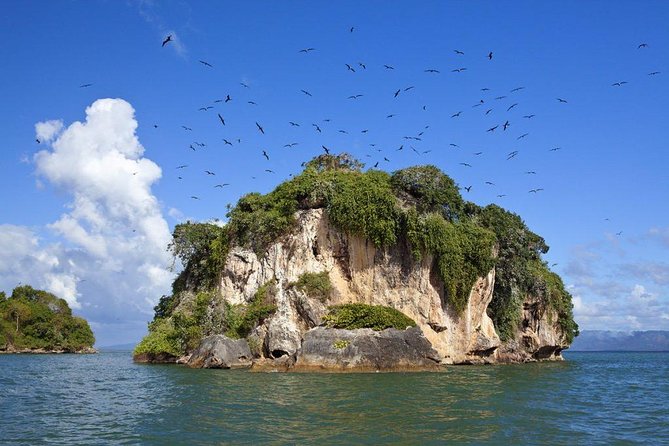 Los Haitises National Park With Montana Redonda, River, and Lunch From Punta Cana - Guest Experiences and Feedback