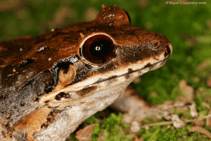 Los Haitises Night Hike in the Rainforest - Frequently Asked Questions