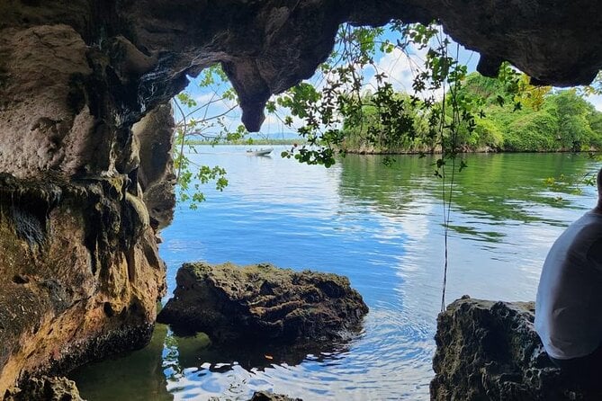 Los Haitises Park & Cayo Levantado: Samaná Unforgettable Journey - Highlights of Los Haitises Park