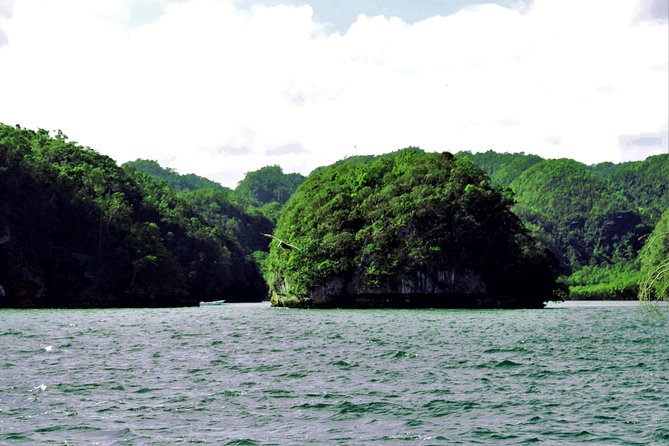 Los Haitises Private Boat Tour - Tour Accessibility