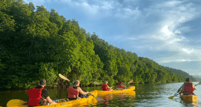 Los Haitises: Sunrise or Sunset Wildlife Focus - Booking and Pricing Details