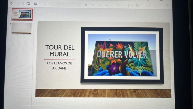 Los Llanos De Aridane: Guided Walking Tour With Open Air Museum - Tour Pricing