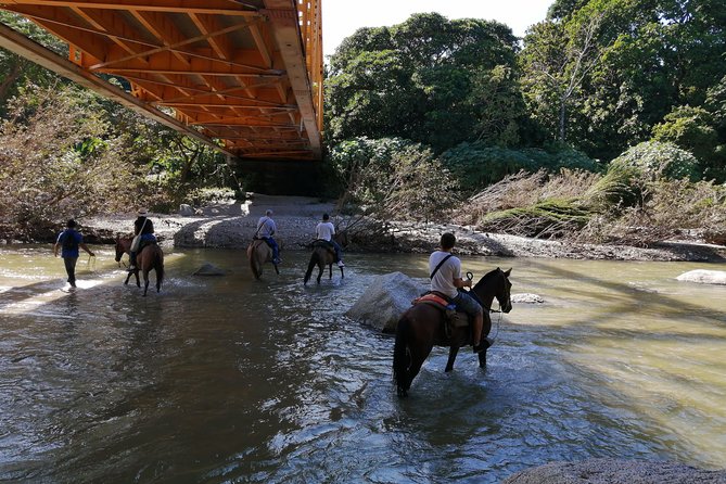 Los Naranjos Beach Horseback Riding Tayrona Park. - Accessibility Considerations