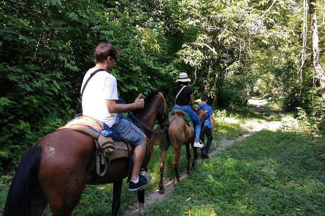Los Naranjos Beach Horseback Riding Tayrona Park. - Customer Ratings and Reviews