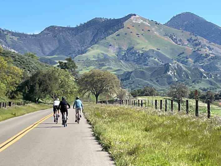 Los Olivos: E-Bike Tour + Vineyard Lunch With Wine Tasting - Itinerary Highlights