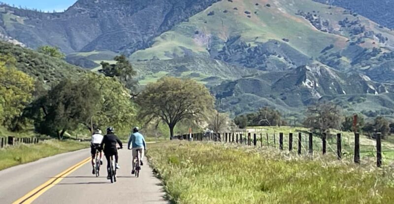 Los Olivos: E-Bike Tour + Vineyard Lunch With Wine Tasting - Guided Experience