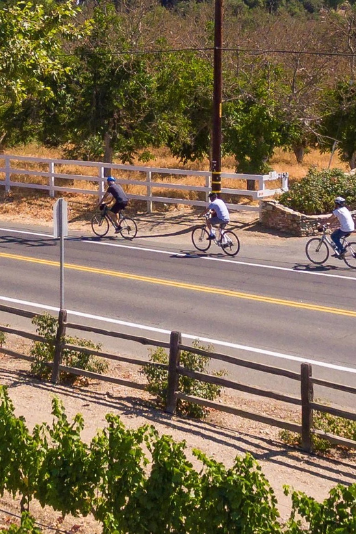 Los Olivos: E-Bike Tour + Vineyard Lunch With Wine Tasting - Included Amenities