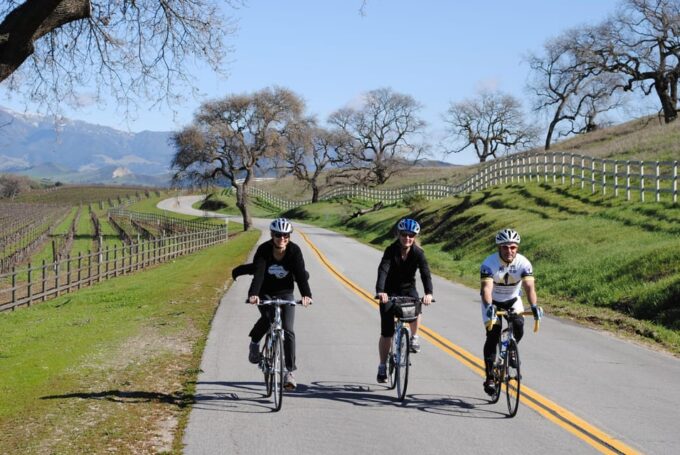 Los Olivos: E-Bike Tour + Vineyard Lunch With Wine Tasting - Vineyard Lunch and Wine Tasting