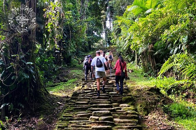 Lost City Teyuna 4 Days Tracking Tour - Customer Feedback