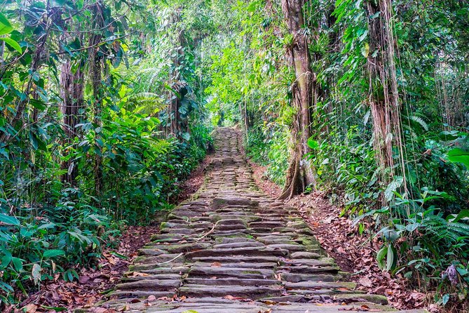 Lost City Trek (Ciudad Perdida) - 4 Days - From Santa Marta or Taganga - Trek Reviews
