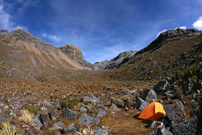 Lost City Trek (Ciudad Perdida) - 4 Days - From Santa Marta or Taganga - Trek Details and Difficulty