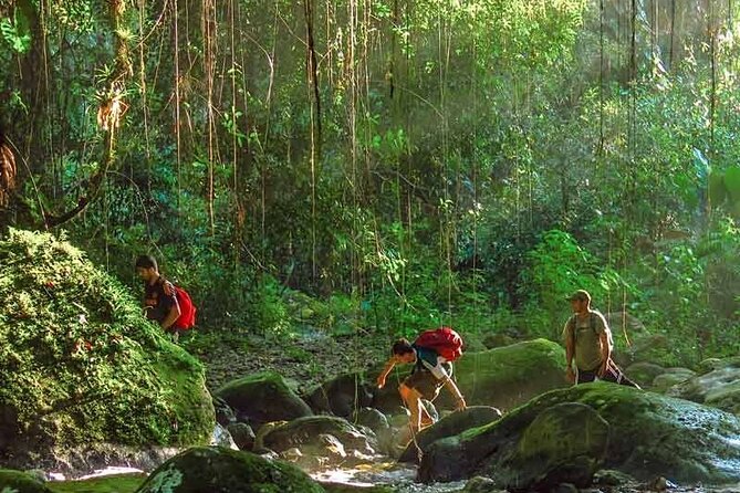 Lost City Trek (Ciudad Perdida) - 4 Days - From Santa Marta or Taganga - Cultural Experience With the Kogui