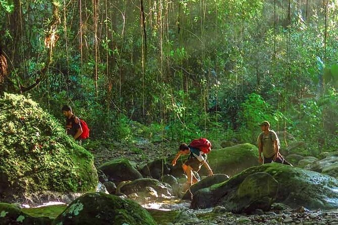 Lost City Trek -Ciudad Perdida 5 Days From Santa Marta or Taganga - Accommodation and Meals