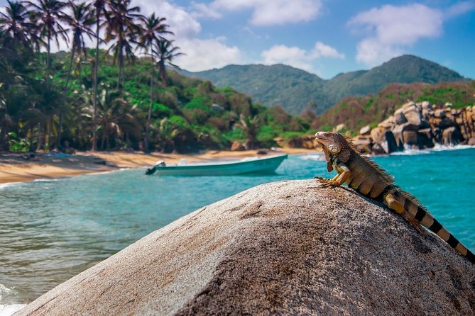 Lost City Trek -Ciudad Perdida 5 Days From Santa Marta or Taganga - Reviews and Ratings