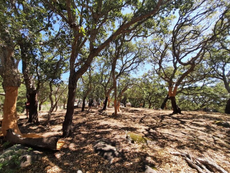 Lost Heritage - Silves & Monchique - Additional Information