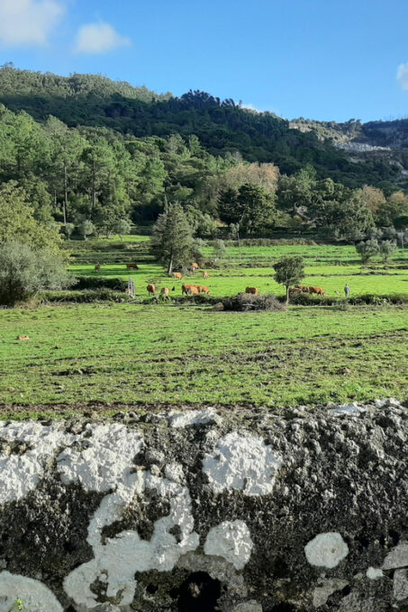 Lost Heritage - Silves & Monchique - Frequently Asked Questions