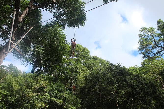 Loterie Farm: Fly Zone Treetop Zip-Line Adventure - Adventure Experience