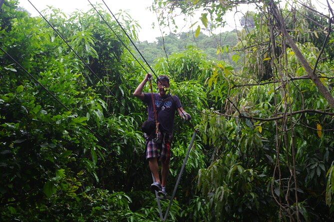 Loterie Farm: Fly Zone Treetop Zip-Line Adventure - Meeting Point and Schedule