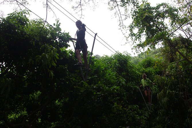 Loterie Farm: Fly Zone Treetop Zip-Line Adventure - Customer Feedback