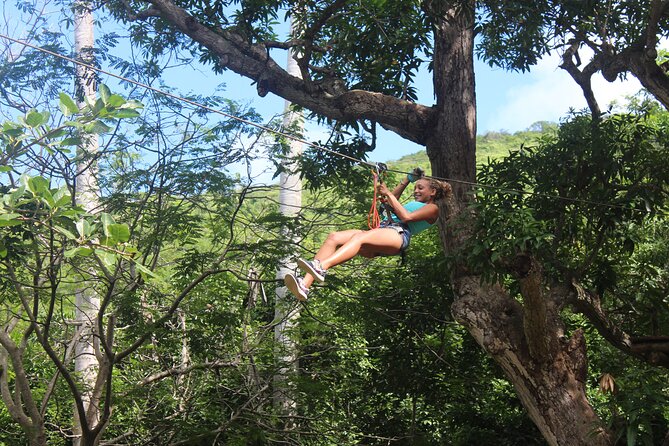 Loterie Farm: Fly Zone Treetop Zip-Line Adventure - Activity Highlights