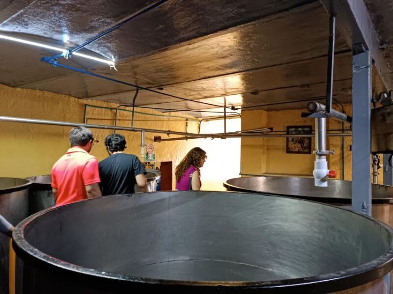 Lots of Party: Have Fun at La Aguirreña Factory - Highlights of the Experience
