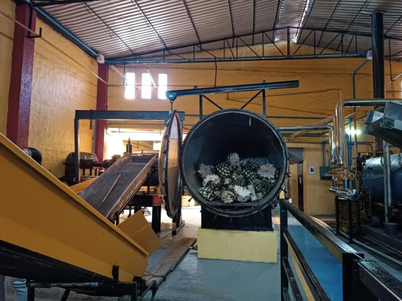 Lots of Party: Have Fun at La Aguirreña Factory - Cultural Aspects and Guides