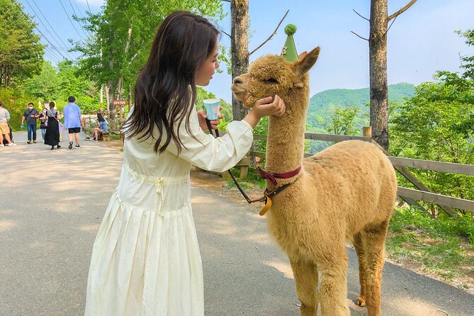 Lotte World & Alpaca World & Nami Island Private Tour - Pickup Information