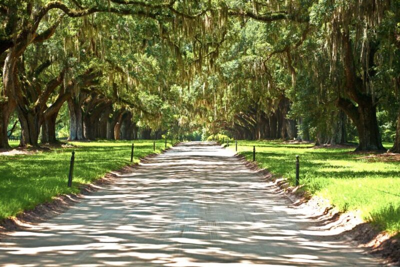 Louisiana: Laura, Oak Alley, or Whitney Plantation Tours - Laura Creole Plantation