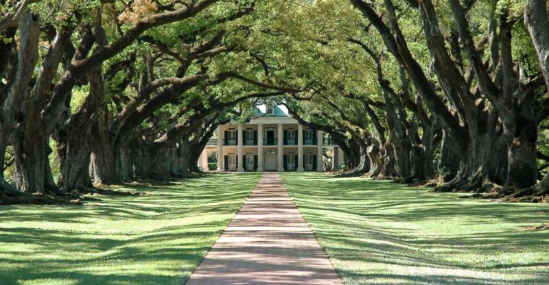 Louisiana: Laura, Oak Alley, or Whitney Plantation Tours - Customer Feedback
