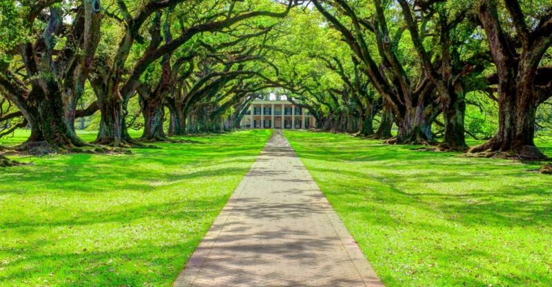 Louisiana Plantation Country Half-Day Tour - Customer Feedback