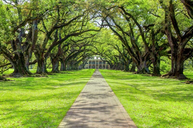 Louisiana Plantation Country Half-Day Tour - Historical Significance