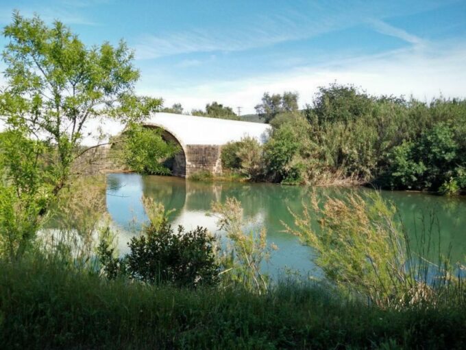 Loulé: Quinta Da Tôr Winery Guided Tour and Wine Tasting - Location and Duration