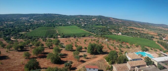 Loulé: Quinta Da Tôr Winery Guided Tour and Wine Tasting - Frequently Asked Questions