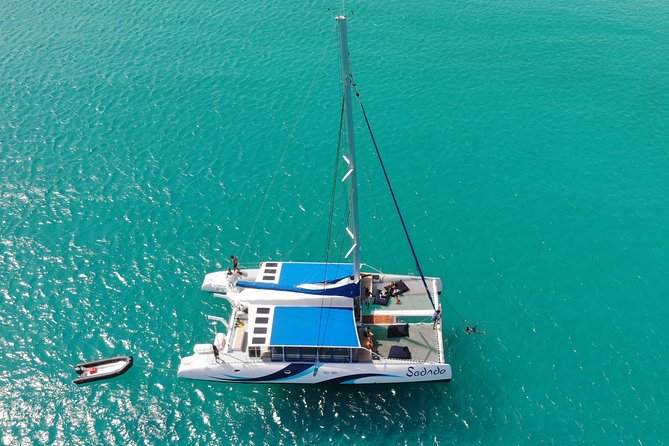 Lounge Catamaran SODADE Half-Day - Wildlife Spotting
