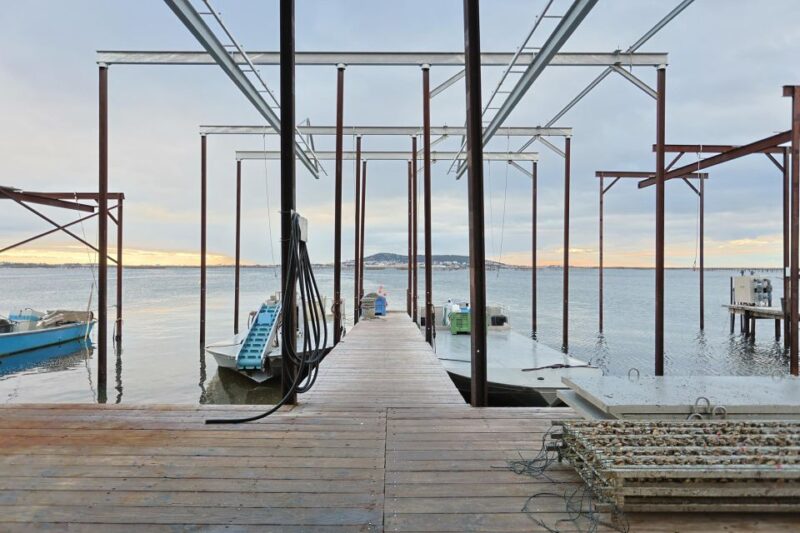 Loupian: Tour Guide of Our Oyster Farm and Tasting - Highlights of the Experience