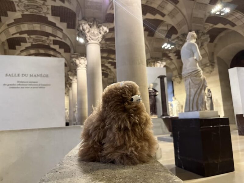 Louvre Museum Entry Ticket and Private Guided Tour - Customer Reviews and Feedback