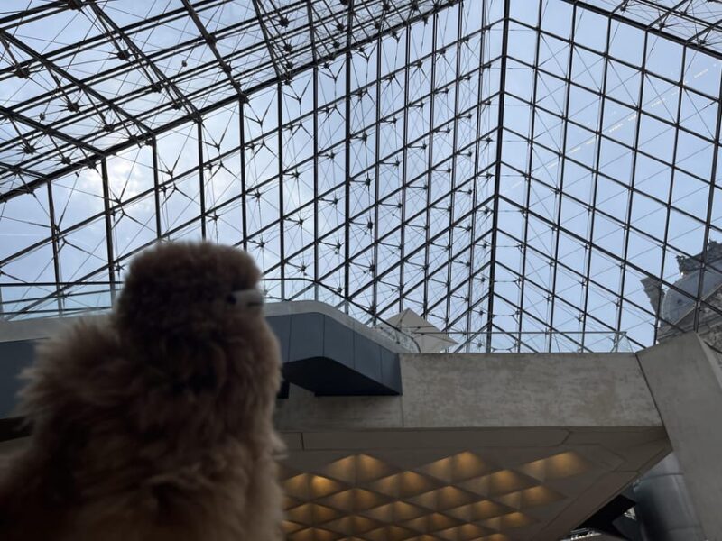 Louvre Museum Entry Ticket and Private Guided Tour - Important Information and Restrictions