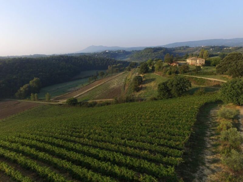 LOVE SENESE EXPERIENCE - Discovering the Cinta Senese DOP Pig Farm
