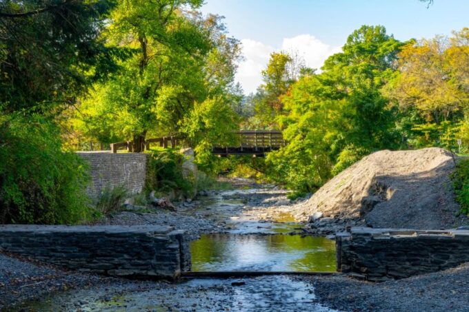 Love Struck Strolls: Ithaca's Romantic Walk - Ideal for Special Occasions