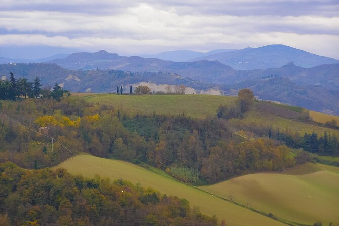 Lovely Hills of Bologna: Express Train to San Luca With Tastings - Operators Responsiveness to Feedback