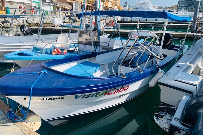 Lovers Beach and El Arco Boat Trip - Key Points